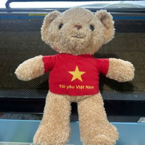 thu nhoi bong toi yeu viet nam