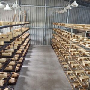 hop dung but bang go