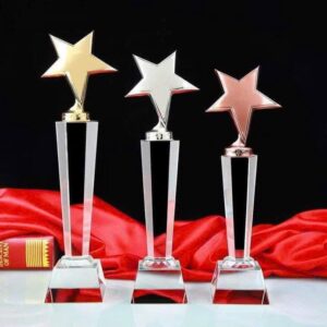 Cúp pha lê cao cấp in logo thiết kế sang trọng, khắc laser hoặc in UV sắc nét theo yêu cầu. Phù hợp cho vinh danh doanh nghiệp, trao giải sự kiện, hội nghị khách hàng và các giải đấu thể thao chuyên nghiệp.