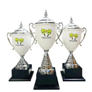 Cup the thao cao cap in theo yeu cau
