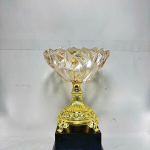 Cup vinh danh pha le cao cap 1