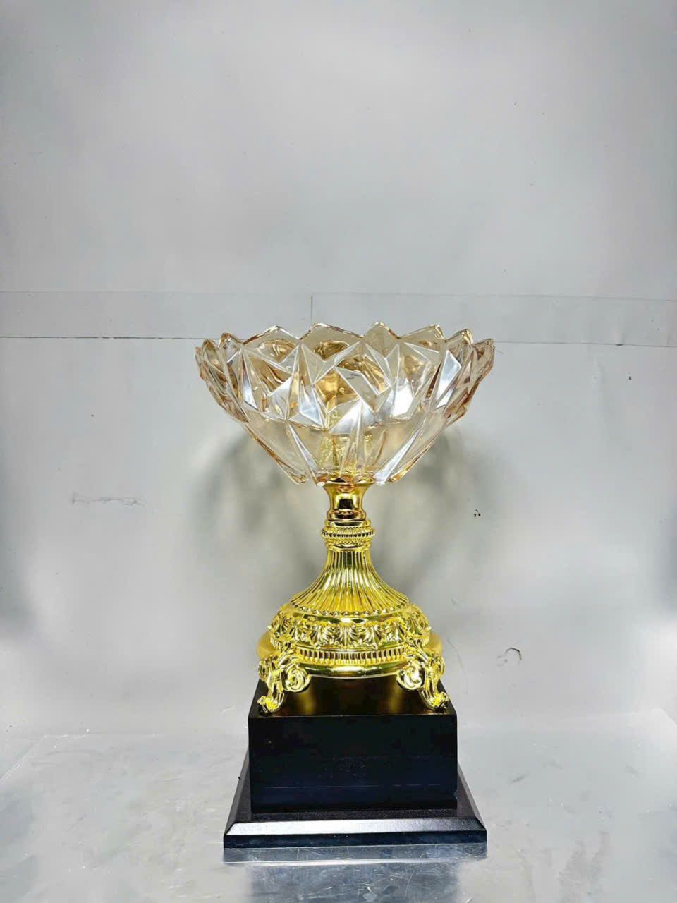 CÚP KIM LOẠI IN LOGO 34 Cup vinh danh pha le cao cap