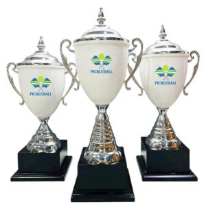 CÚP KIM LOẠI IN LOGO 31 cup