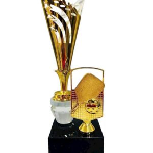 CÚP KIM LOẠI IN LOGO 12 cup kim loai 1