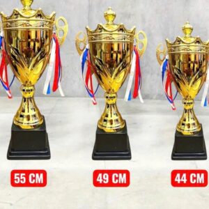 CÚP KIM LOẠI IN LOGO 11 cup kim loai