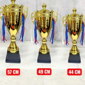 CÚP KIM LOẠI IN LOGO 7 cup kim loai gia re