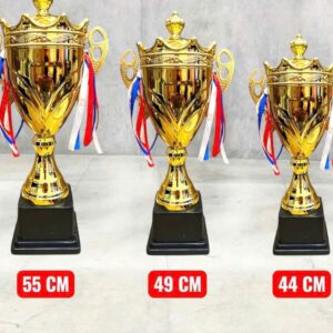 CÚP KIM LOẠI IN LOGO 8 cup kim loai gia si