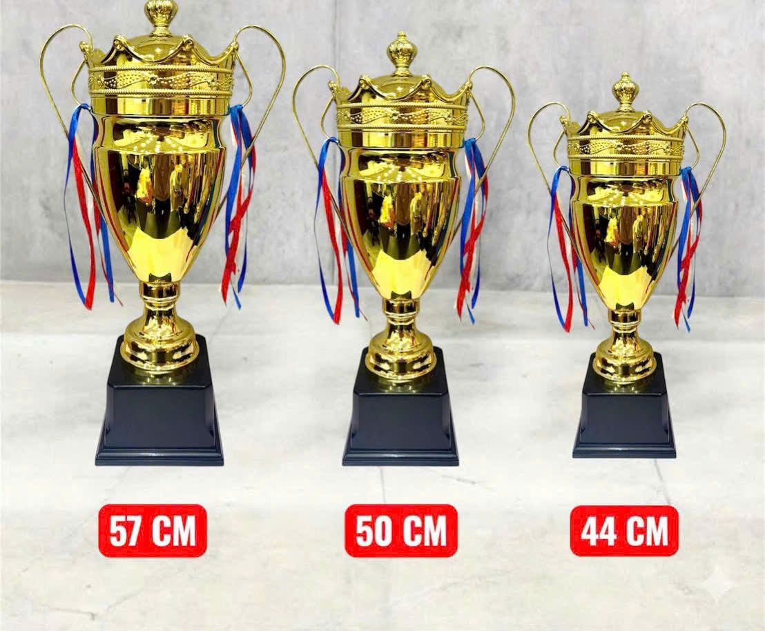 cup kim loai in logo cup kim loai in logo