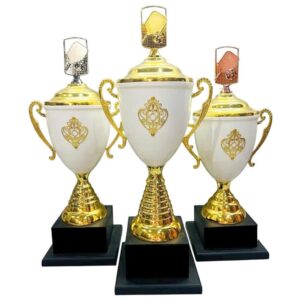 cup pickleball sang trong